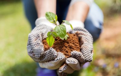 Los trabajos del futuro están en la naturaleza