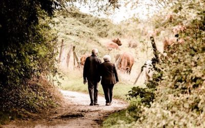 ¿Podremos volver a una vida más rural? Parte de esa ruta eléctrica